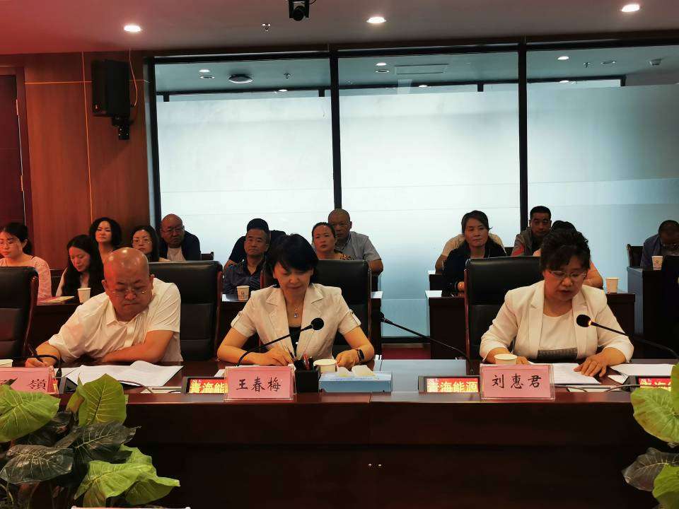 1631521941687542.jpg 菠菜广告投放平台领导班子述职 程彩琳摄.jpg