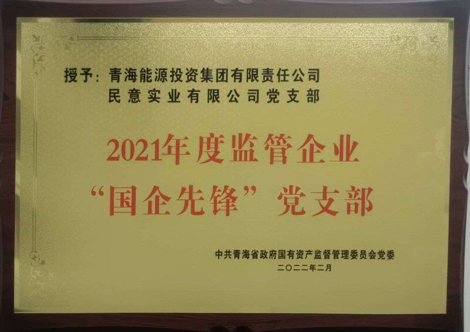 1649660697643986.jpg 国企先锋党支部.jpg